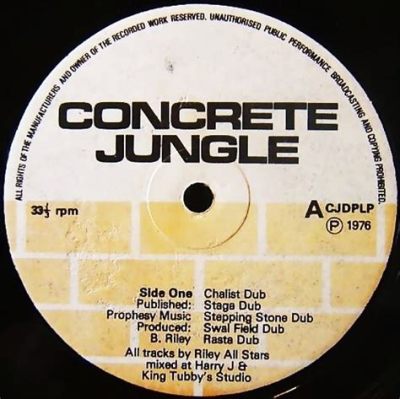 Concrete Jungle : Une mélodie dub hypnotique qui se mêle à des paroles engagées et profondes